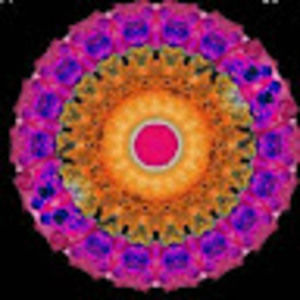 Meet your Posher, Silver